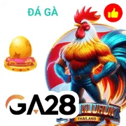 888b Game 06